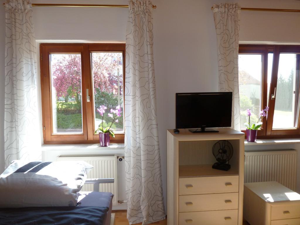 Apartment Ferienwohnung Tegernheim